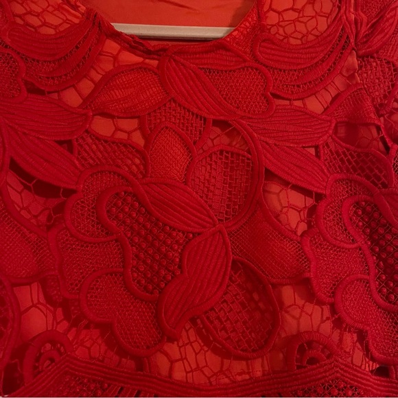 Daycation Crop Top in Red - Picture 6 of 6